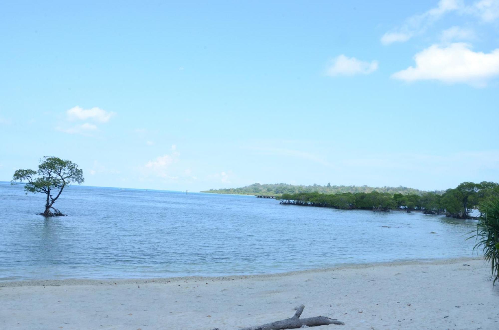 Coconhuts Beach Resort Lakshmanpur Zewnętrze zdjęcie