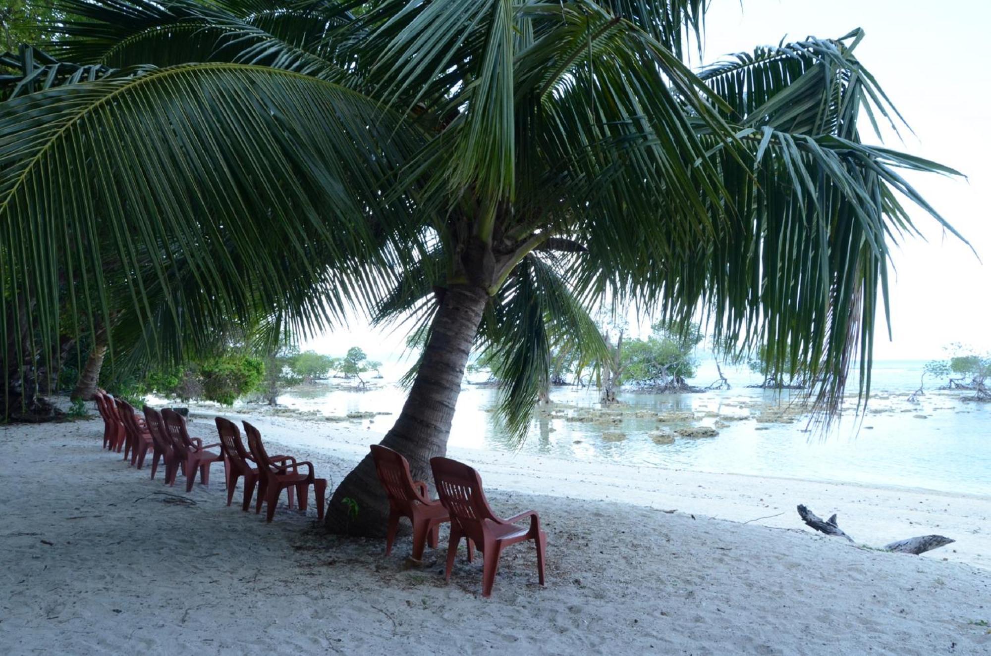 Coconhuts Beach Resort Lakshmanpur Zewnętrze zdjęcie