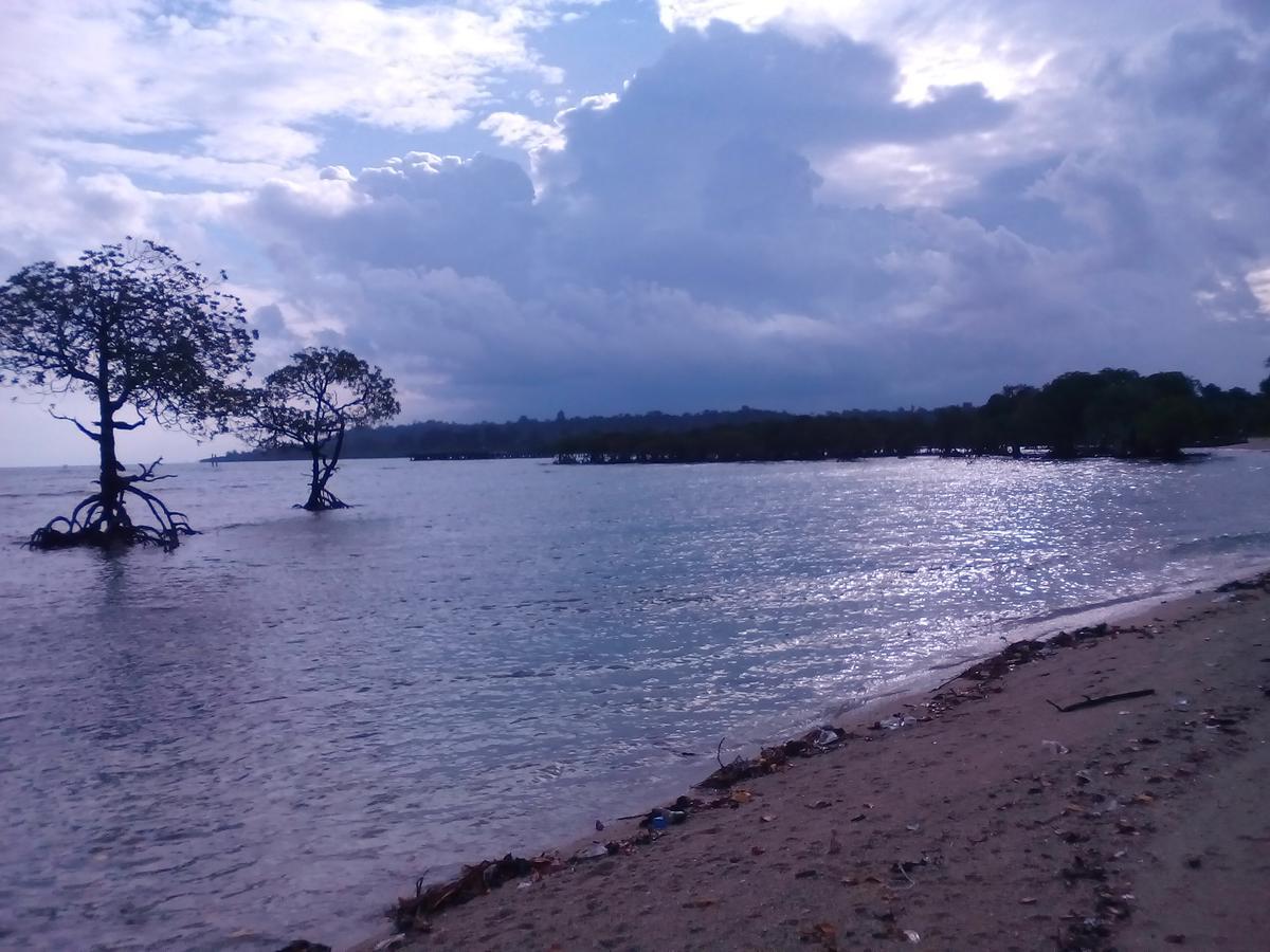 Coconhuts Beach Resort Lakshmanpur Zewnętrze zdjęcie